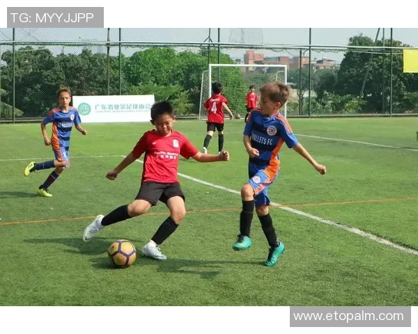 提升心理素质助力足球新手成长的全面指南与实用技巧